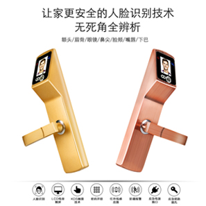 【帝曼歐Dimanou】深圳人臉識(shí)別家用智能鎖電子密碼鎖價(jià)格、人臉識(shí)別鎖