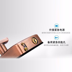 【帝曼歐Dimanou】深圳人臉識(shí)別家用 防盜門電子密碼鎖、人臉識(shí)別鎖
