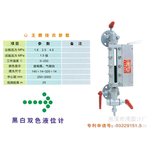 國星黑白雙色水位計 國星供應(yīng)彩色石英管液位計 液位計  水位計廠家