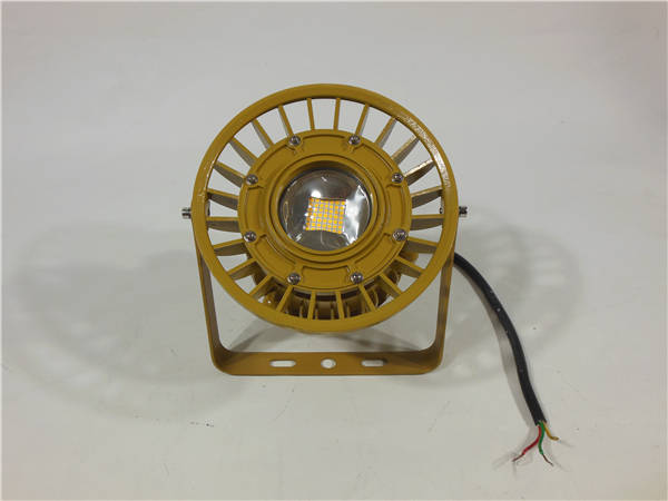 LED防爆泛光燈20W30W40W防爆燈 防爆平臺燈BFC8150