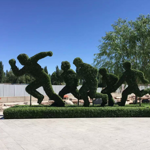 北京五色草供應(yīng)  設(shè)計(jì)制作   廠家安裝     五色草