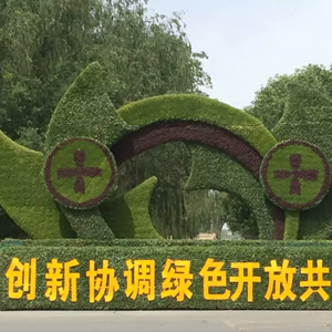 山西五色草 制作    設(shè)計(jì)安裝一體  五色草供應(yīng)