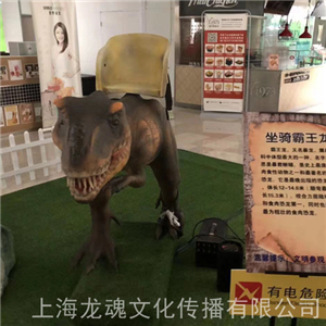 恐龍出租（全國(guó)）特色創(chuàng)意恐龍出租租賃  恐龍出租租賃