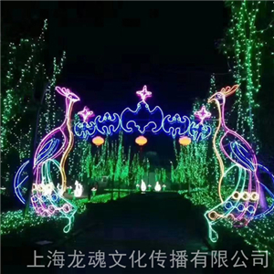 燈光節(jié)造型燈戶外 藝術(shù)景觀燈 夢(mèng)幻燈光節(jié)出租