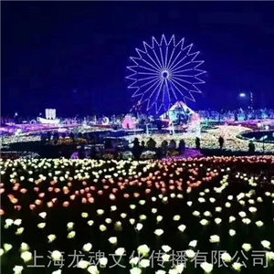 夢(mèng)幻燈光節(jié)出租 藝術(shù)景觀燈 燈光節(jié)造型燈戶外