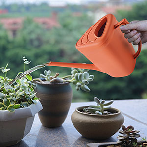 塑料加厚灑水壺家用園藝澆花神器長嘴澆花噴壺室內(nèi)綠蘿盆栽澆水器