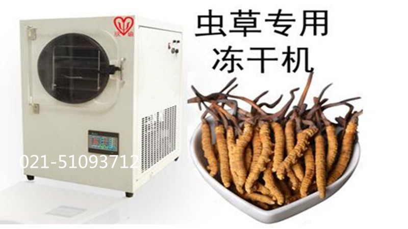 蟲草冷凍干燥機(jī)保健品凍干機(jī)XY-FD-L4生物制藥真空冷凍干燥機(jī)