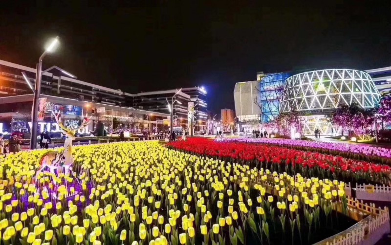 藝術(shù)景觀燈不銹鋼造型燈 夢(mèng)幻燈光節(jié)出租