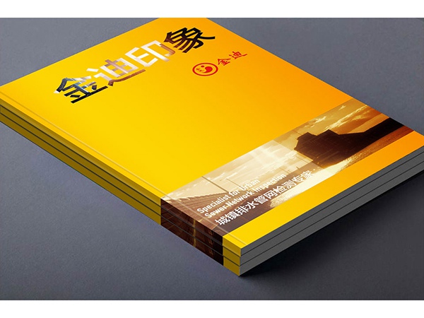 廠家直銷產(chǎn)品宣傳冊(cè) 畫(huà)冊(cè)印刷 精裝圖冊(cè)傳單印制設(shè)計(jì)