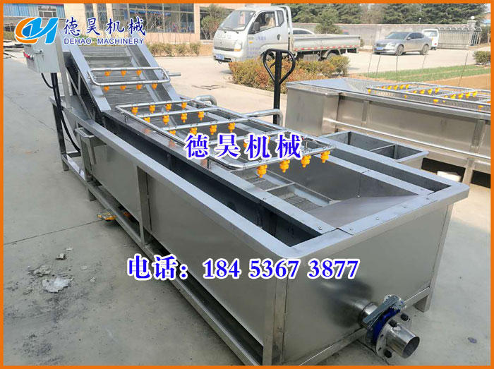 氣泡清洗機(jī)，蔬菜清洗機(jī)