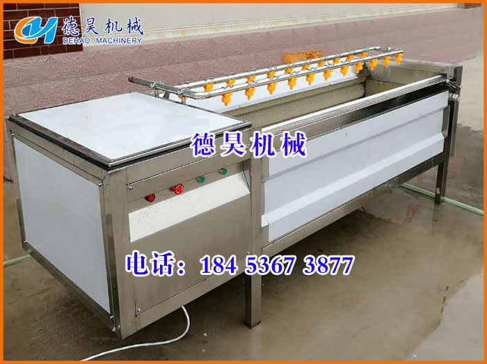 芋頭毛輥清洗機，蔬菜清洗機