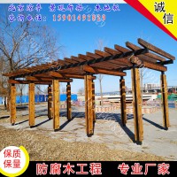 防腐木廊架 涼亭廊架 綠色長(zhǎng)廊 葡萄架 塑木葡萄架 爬架爬藤