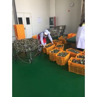 殺菌鍋，殺菌鍋供應(yīng)，殺菌鍋廠家，殺菌鍋價格，殺菌鍋直銷