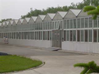 沈陽(yáng)卡樂(lè)比（日本）馬鈴薯科研溫室
