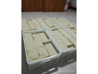 豆制品機(jī)器設(shè)備都有什么樣的，千葉豆腐設(shè)備免費(fèi)教技術(shù)
