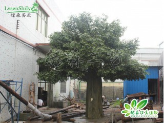 仿真榕樹(shù)  沈陽(yáng)仿真大榕樹(shù)批發(fā)安裝