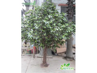 仿真榕樹(shù) 仿真迷你榕樹(shù)  沈陽(yáng)仿真迷你榕樹(shù)批發(fā)安裝