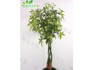 仿真辮子發(fā)財(cái)樹(shù)廠家直銷(xiāo)    沈陽(yáng)仿真植物生產(chǎn)廠家