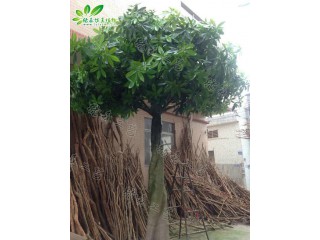 仿真大辮子發(fā)財(cái)樹(shù)  廠家直銷(xiāo)    沈陽(yáng)仿真植物生產(chǎn)廠家