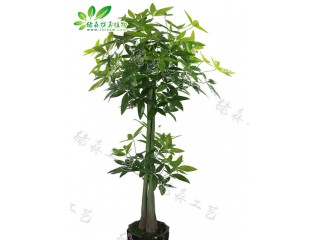 仿真兩層發(fā)財(cái)樹(shù)  廠家直銷(xiāo)    沈陽(yáng)仿真植物生產(chǎn)廠家