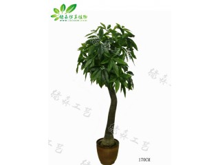 仿真彎桿發(fā)財(cái)樹(shù)   廠家直銷(xiāo)    沈陽(yáng)仿真植物生產(chǎn)廠家