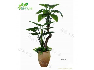 仿真滴水觀音   廠家直銷(xiāo)    沈陽(yáng)仿真植物生產(chǎn)廠家