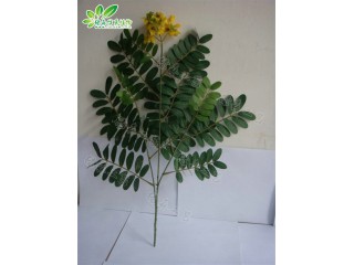 仿真槐花葉   廠家直銷(xiāo)    沈陽(yáng)仿真植物生產(chǎn)廠家