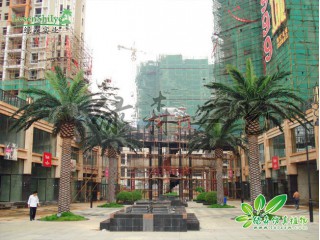 仿真海藻樹(shù)   廠家直銷(xiāo)   沈陽(yáng)仿真植物生產(chǎn)廠家