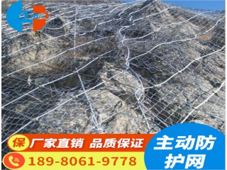 主動防護(hù)網(wǎng)