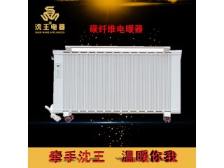 廠家直銷 碳纖維電暖器 可定制多規(guī)格電熱風(fēng)幕機(jī)批發(fā)