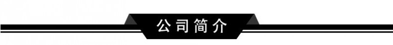 公司簡(jiǎn)介
