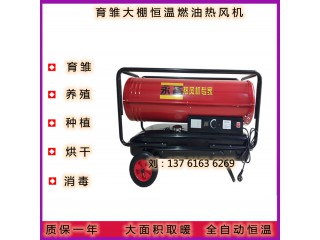 昌吉市53KW靈活經(jīng)濟燃油熱風機DH60養(yǎng)殖育雛保溫暖風爐