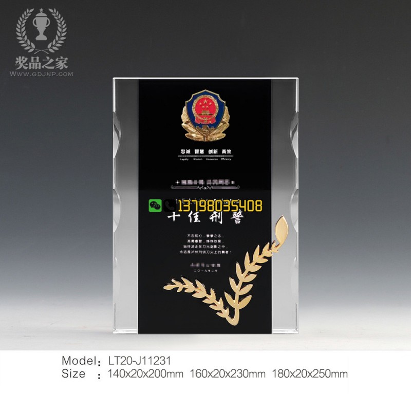 波浪邊直邊獎(jiǎng)牌-十佳刑警