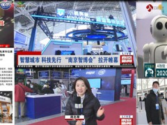 2021南京國際人工智能產(chǎn)品展覽會