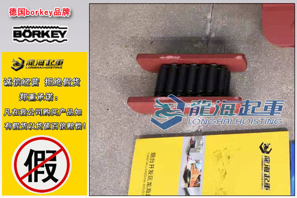 德國(guó)C系列載重滾輪搬運(yùn)車(chē)圖片