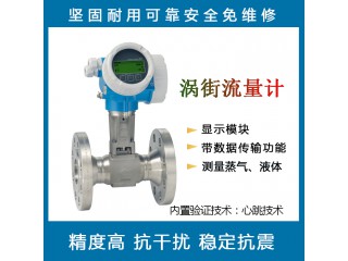 E+H F 200 渦輪蒸汽液體流量計(jì) 渦街質(zhì)量流量計(jì)數(shù)顯高精度傳感器