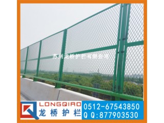 泰安橋梁防拋網(wǎng) 泰安高速橋護(hù)欄網(wǎng) 浸塑綠色鋼板網(wǎng) 龍橋廠