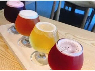 中型河南年產(chǎn)1000-5000L自釀啤酒多少價格