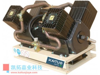 35GLEM12-09300車載打氣泵/B16VXB4/12-Y電動汽車空壓機(jī)