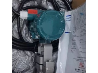 橫河AXF100G-E1AL1L-AD41-01BCH